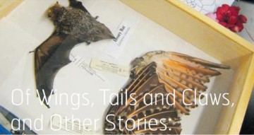 Of wings, tails and claws and other stories